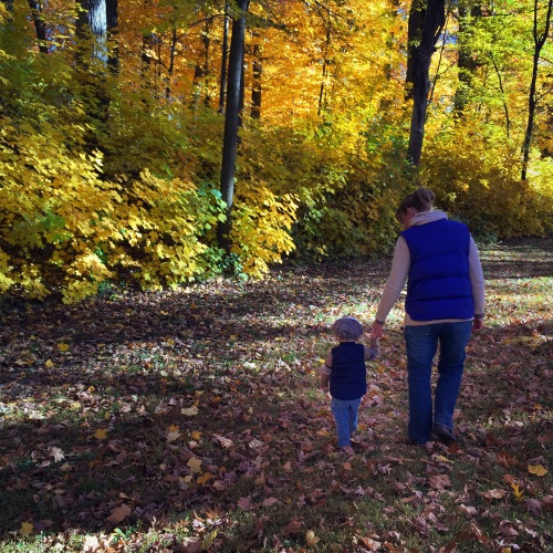 A walk in the yellow woods