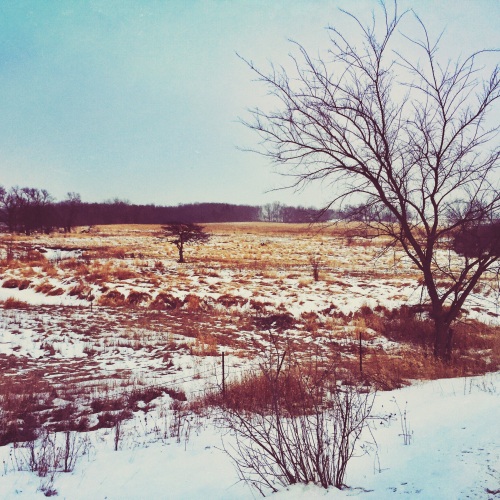 Winter on the Prairie