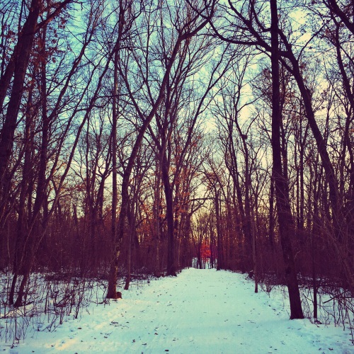 Grace Abounds in the Wintry Woods